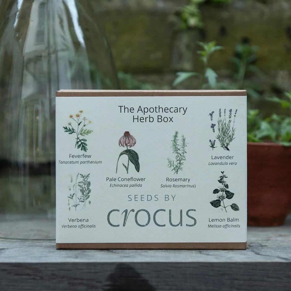 Apothecary Herbs Seed Gift Box