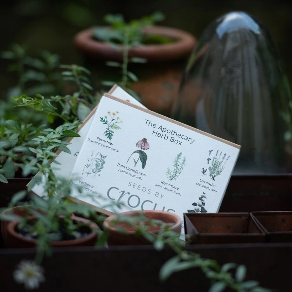 Apothecary Herbs Seed Gift Box - Image 3